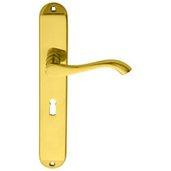 Carlisle Brass Andros 241 x 40mm Lock Profile Lever Door Handle On Backplate