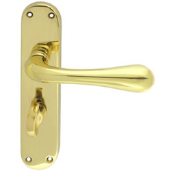 Carlisle Brass Astro Lever Handle With Turn and Release on Backplate