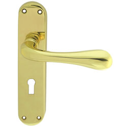 Carlisle Brass Astro Lock Profile With Lever Handle On Backplate - 185 x 40mm