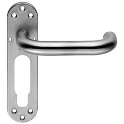 Carlisle Brass Eurospec Multi-Function Safety Lever on Steel Backplate