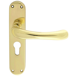 Carlisle Brass Ibra Rounded Lever Handle with Euro Profile On Backplate