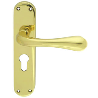 Carlisle Brass Astro 185 x 40mm Lever Handle with Euro Profile On Backplate