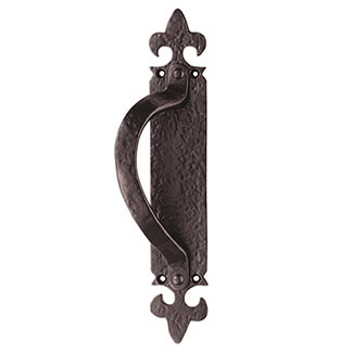Carlisle Brass Black Antique Offset Pull Handle on Backplate