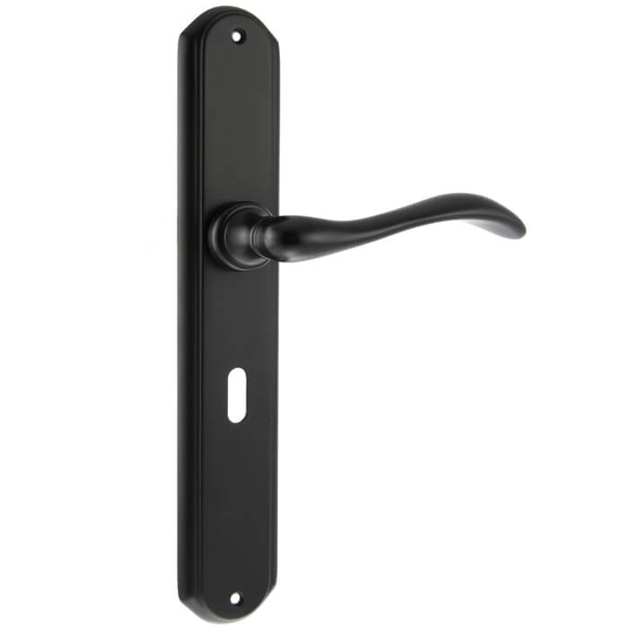 Atlantic Forme Valence Solid Brass Key Lever Door Handle On Backplate