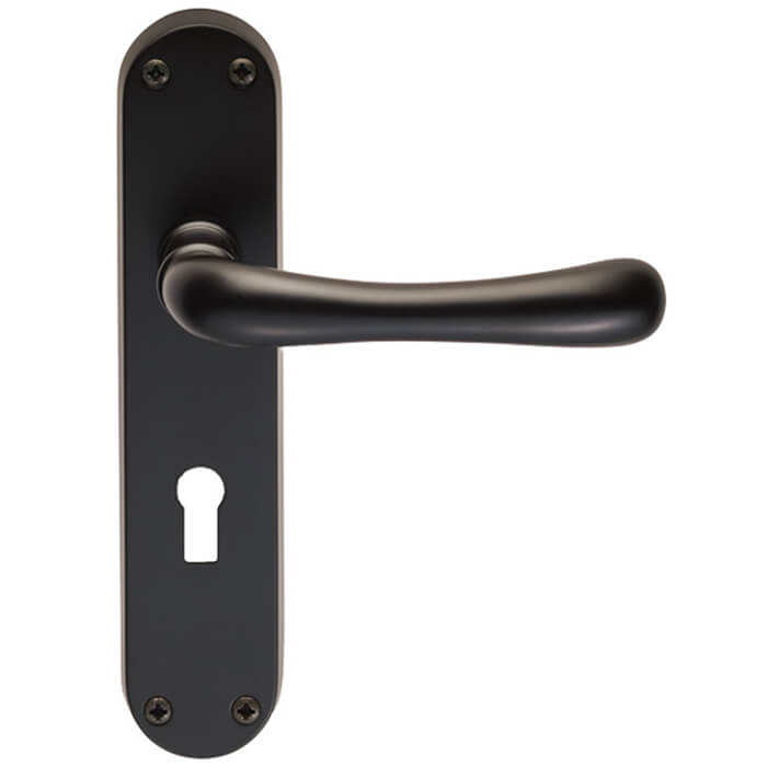Carlisle Brass Ibra Rounded Lever Handle with Lock Profile on Backplate