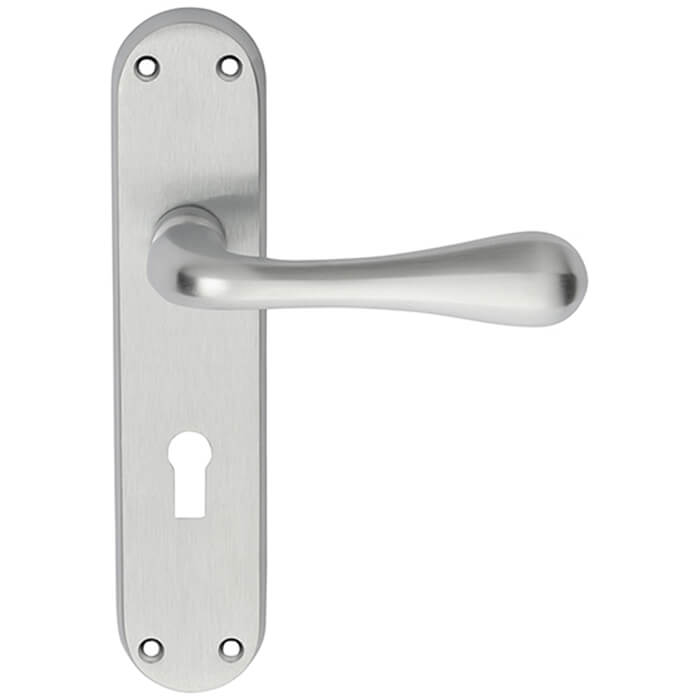 Carlisle Brass Astro Lock Profile With Lever Handle On Backplate - 185 x 40mm