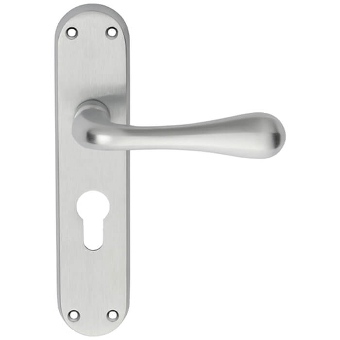 Carlisle Brass Astro 185 x 40mm Lever Handle with Euro Profile On Backplate
