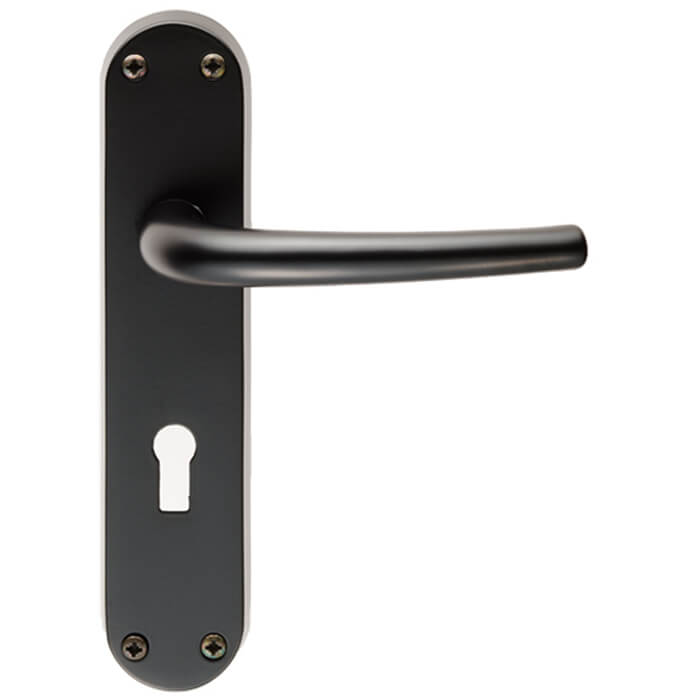 Carlisle Brass Lilla Lock Profile With Lever Handle On Backplate - 185 x 40mm