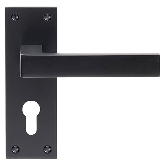 Carlisle Brass Sasso Lever Handle with Euro Profile on Backplate - 150 x 50mm