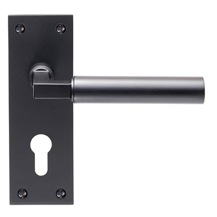 Carlisle Brass Amiata 150 x 50mm Lever Handle with Euro Profile on Backplate
