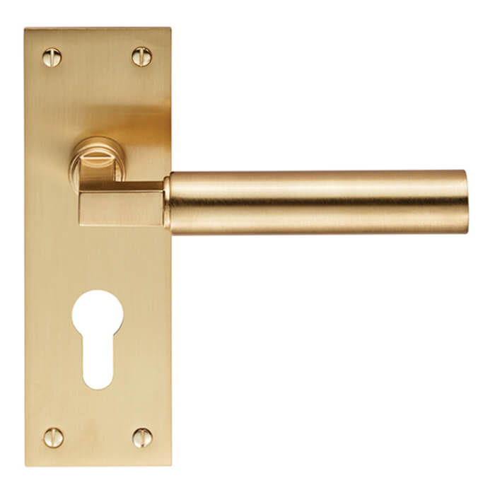Carlisle Brass Amiata 150 x 50mm Lever Handle with Euro Profile on Backplate