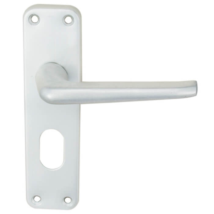 Carlisle Brass Eurospec Aluminium Lever on Backplate