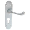 Carlisle Brass Oakley Lever Handle with Euro Profile On Backplate small Image 4