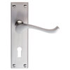 Carlisle Brass Victorian 150 x 42mm Lock Profile With Lever Handle On Backplate small Image 4