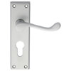 Carlisle Brass Victorian 150 x 42mm Lever Handle with Euro Profile On Backplate small Image 4