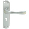 Carlisle Brass Ibra Rounded Lever Handle with Lock Profile on Backplate small Image 4