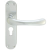 Carlisle Brass Ibra Rounded Lever Handle with Euro Profile On Backplate small Image 4