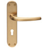 Carlisle Brass Lilla Lock Profile With Lever Handle On Backplate - 185 x 40mm small Image 4