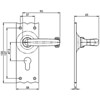 Carlisle Brass Black Antique Traditional Lever on Backplate small Image 4