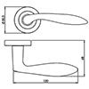 BW-48040 small Image 2